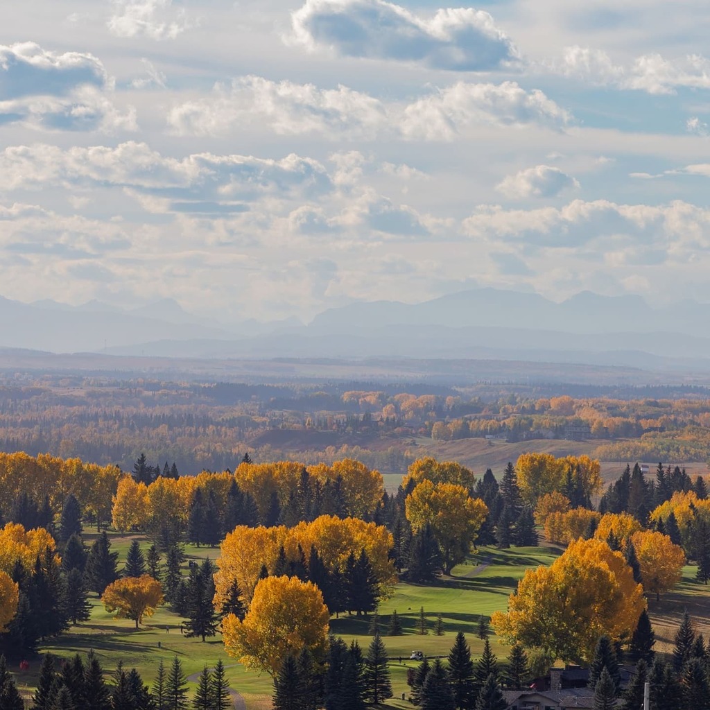 mikeinyyc's tweet image. Best looking time of the year.
.
.
.
#YYC #yycnow #capturecalgary #fall #fallcolors #mood #getoutside #explorealberta #explorecanada #Alberta #Calgary #nature # instagr.am/p/CURTuuwrfZB/