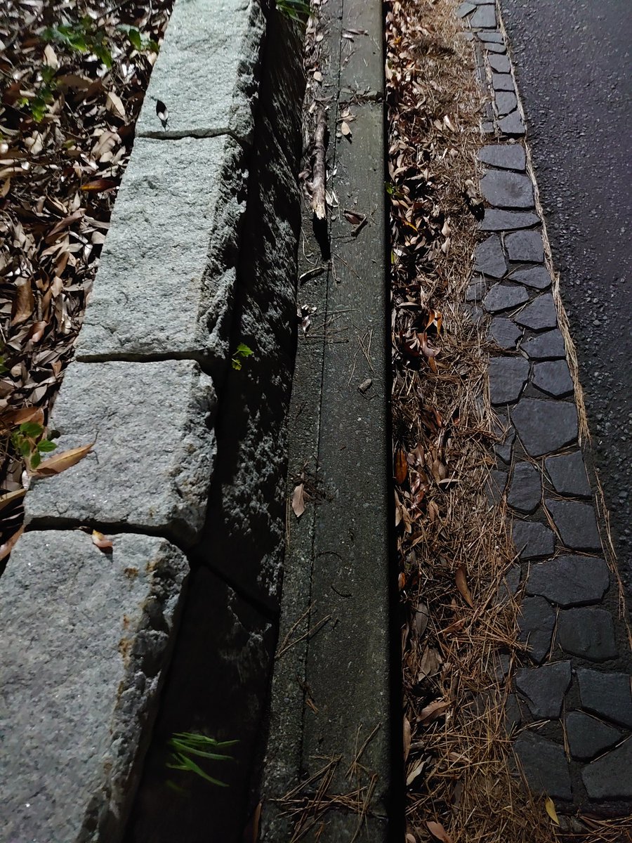 JRX0011's tweet photo. 安全性と本来の機能を完全に放棄した歩道😅
#安全放棄　#沼津　#歩道 https://t.co/Xae9YtRHsR