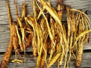 NwekeChideraEm2's tweet photo. #SYPHILIS: Yellow Dock Root is found to be a cure for Syphilis. Cock the root till its watercolor changes and accommodate them in a glass. Take a glass of the herbs twice daily for three weeks. #RumexCrispus #herbs #herbal #medicinalherbs  #medicinalplants https://t.co/fRPWkFtb5O