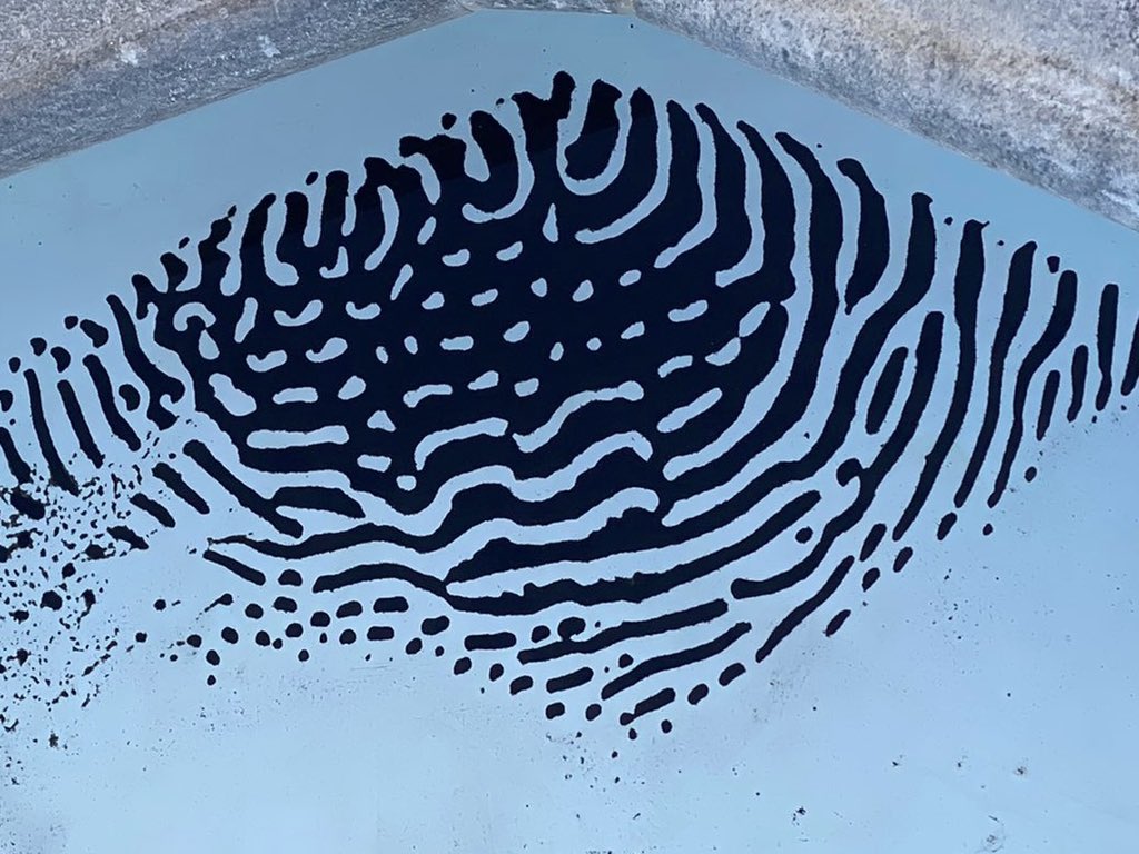GeoTenerife's tweet photo. #VolcanoStories
Volcanic ash in our rental home swimming pool in #Tijarafe. The pattern has formed via the same process that makes wind create dunes in the desert. Here it’s the pool water pushed by wind. And it looks like our beloved #Teide too. #LaPalmaeruption #LaPalmaerupcion https://t.co/Jl0LuklIyA