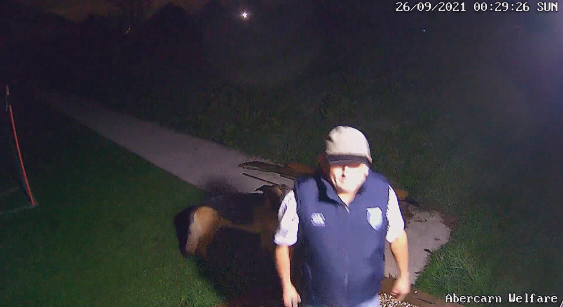 AbercarnUnited's tweet photo. Please continue to share and RT so we can find this man 

On Sunday 26th Sept at 1230am he broke open our gates with a crow bar, knocked 2 security lights off the stand then got to our Lodge

The Police are also circulating the images and video…

Thanks All 

#AUFC https://t.co/ysFYUK5rzS