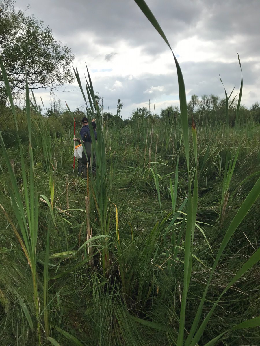 Reaseheath Game & Wildlife Management tweet media