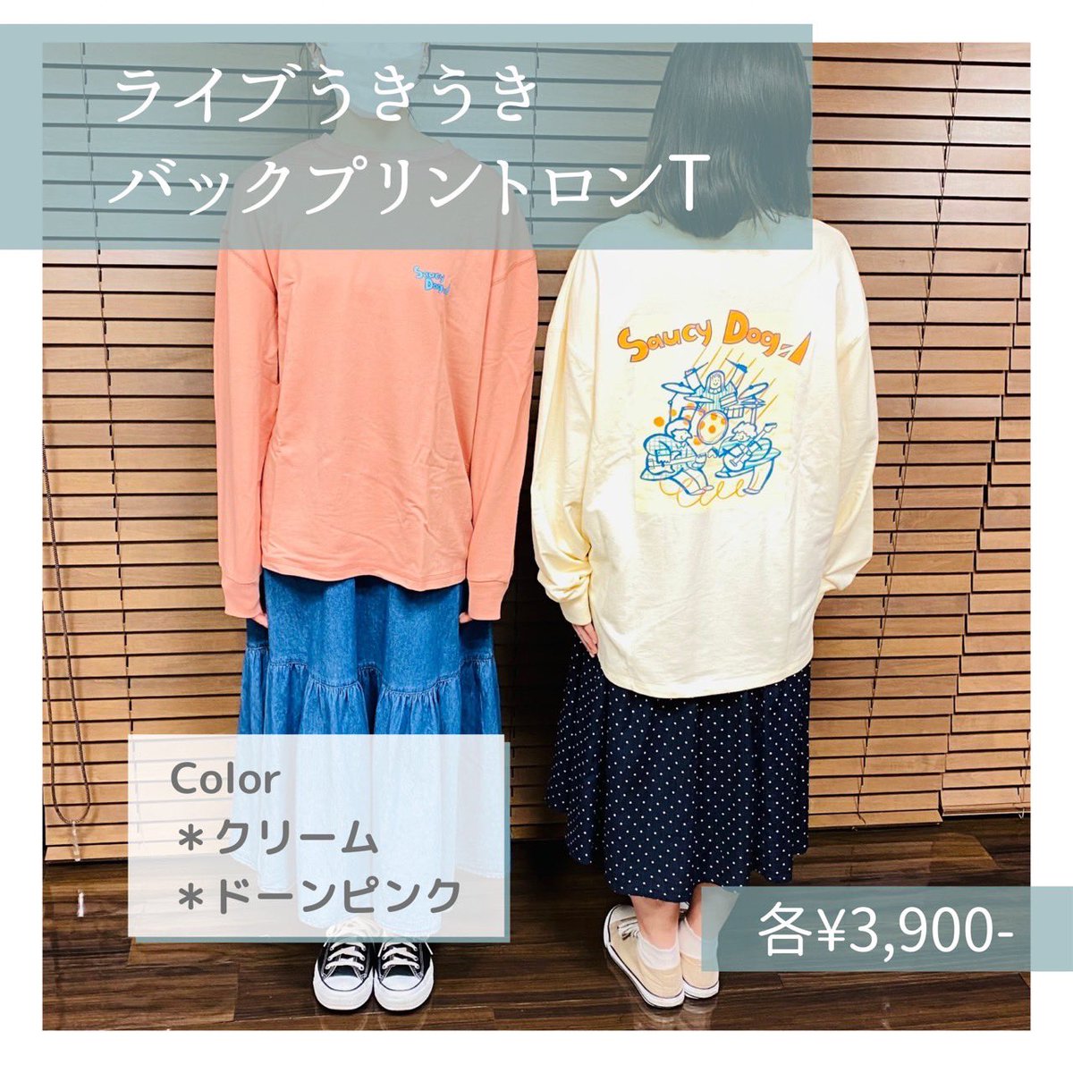 ポチ🐶pochiluの看板犬🐾 on X: ポチ🐶pochiluの看板犬🐾 on X: