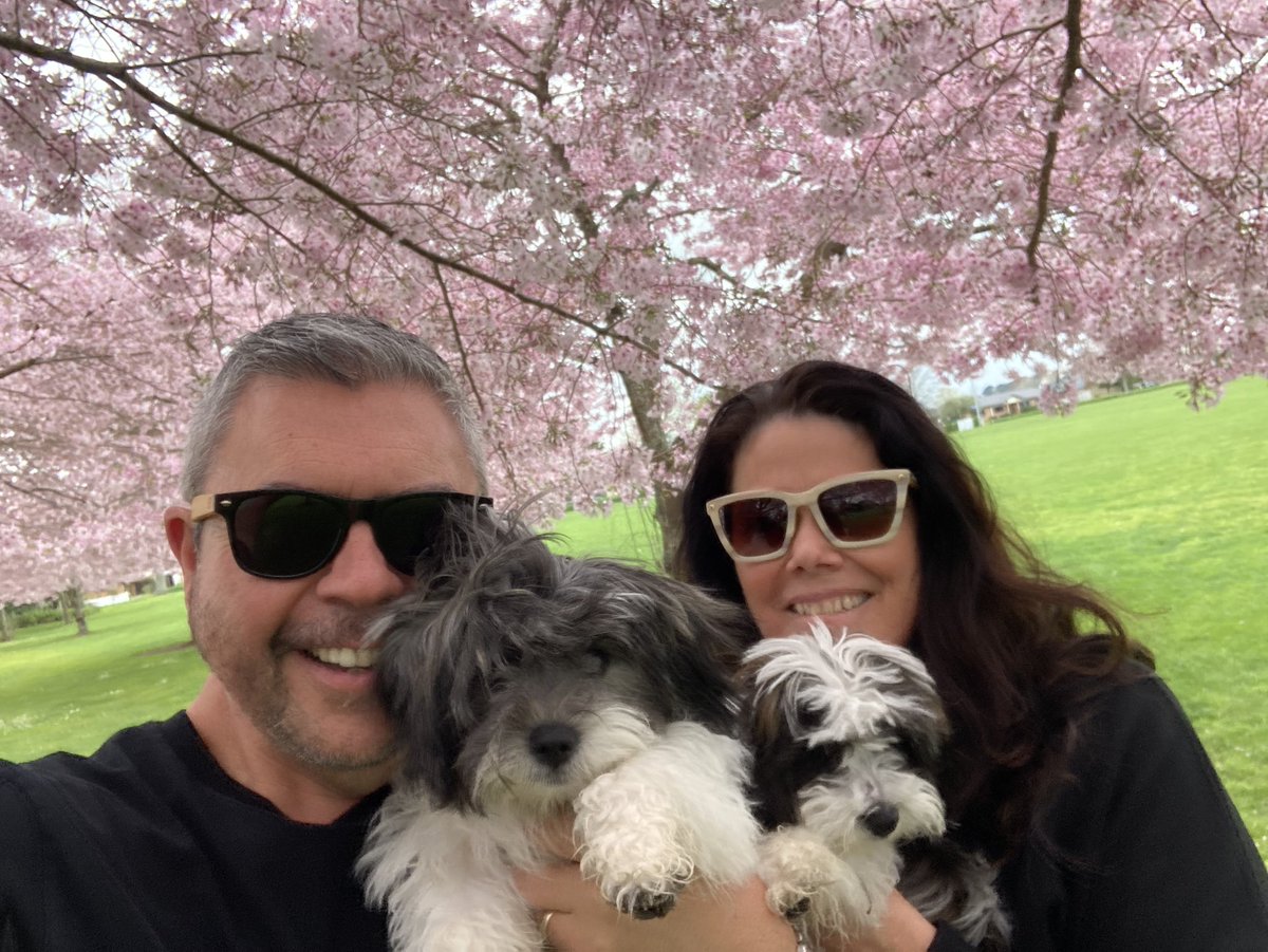 Jason Dawson tweet media