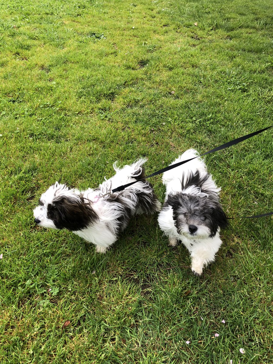 Jason Dawson tweet media