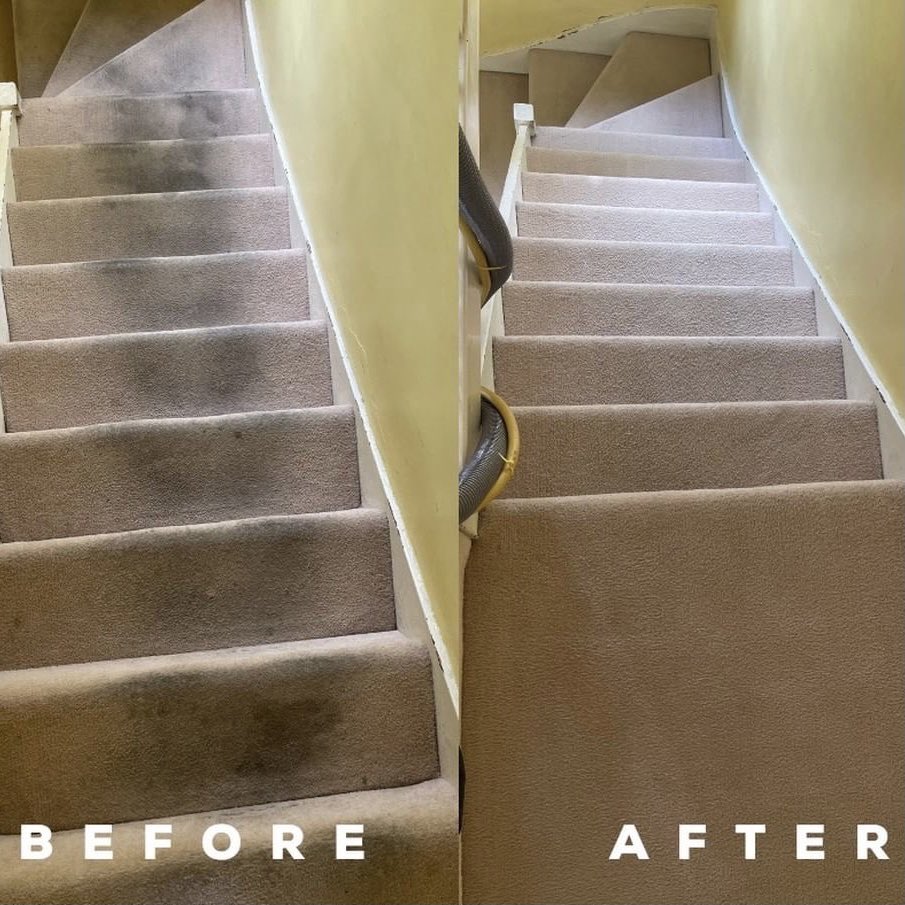 balhamnewsie's tweet photo. Get your carpets &amp; upholstery looking like new with #Balham's Prime Steam – &amp; they’re offering 20% off all services up to 31st October! To claim, quote NEWSIE20 when booking. To find out more &amp; to get a free quote, visit https://t.co/UeTR3NOJIH #ad https://t.co/wLAXgHToGf