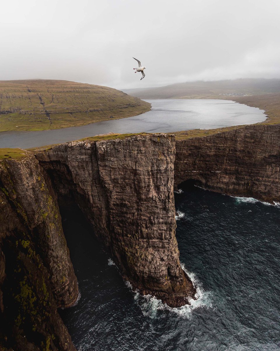 GM team! 

Hope everyone is having a good weekend! Here’s a throwback from an incredible morning on the cliffs of The Faroe Islands