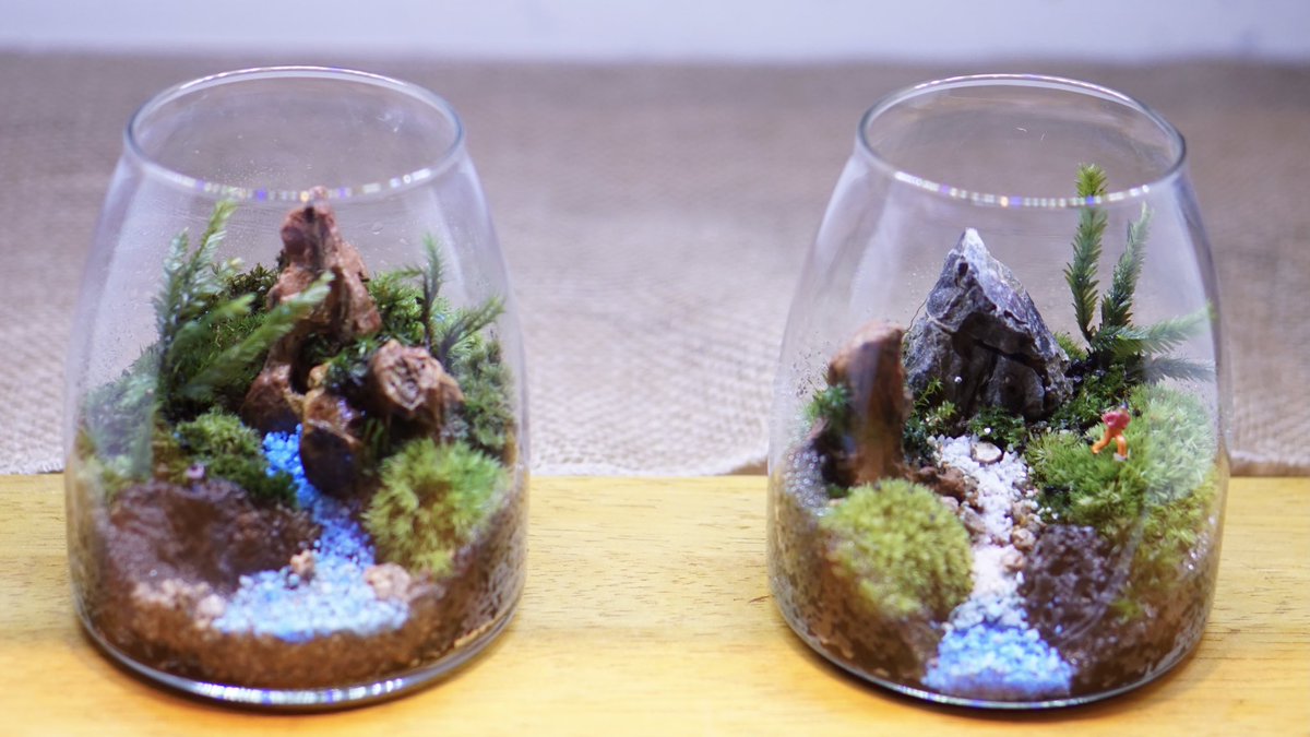 hanahaku20th's tweet photo. 本日は「Mosslight 植物を育てるインテリア」の展示会場にて「With earth」 #コケテラリウム の #ワークショップ が行われました🌱✨
ワークショップは10月9日と10日にも開催❣️詳しくはコチラ→ https://t.co/riJzDimV7T
#withearth #mosslight
#淡路島 #awajishima
#花みどりフェア #淡路花博20th https://t.co/n8SOYOjtwF
