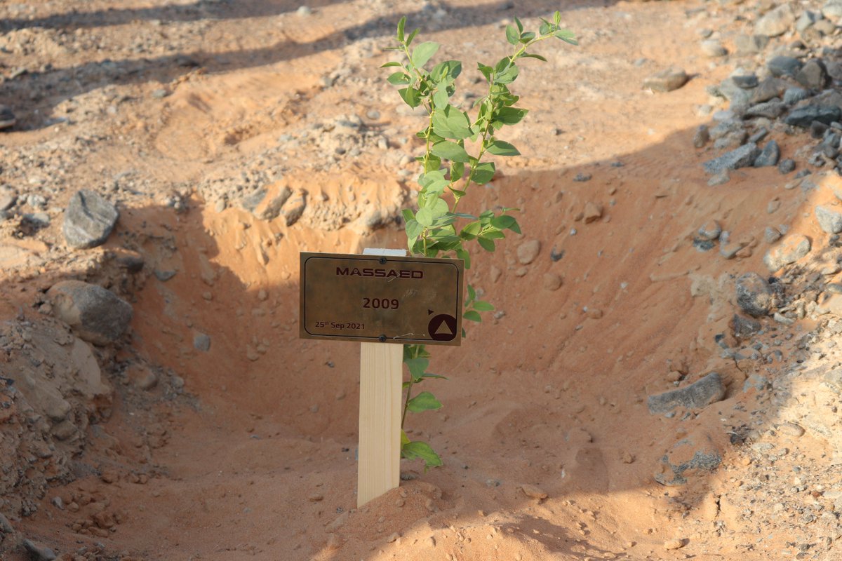 eegemirates's tweet photo. Another entity that has joined us is Massaed where they planted 13 Sidr saplings in Ras Al Khaimah. 

#EEG #Massaed #TreePlanting #TogetherForABetterEnvironment #Recycle #GoGreen #GenerationRestoration #EmiratesEnvironmentalGroup #GreenLifestyle #EcoLifestyle @MASSAED_UAE https://t.co/EarWZrygvD