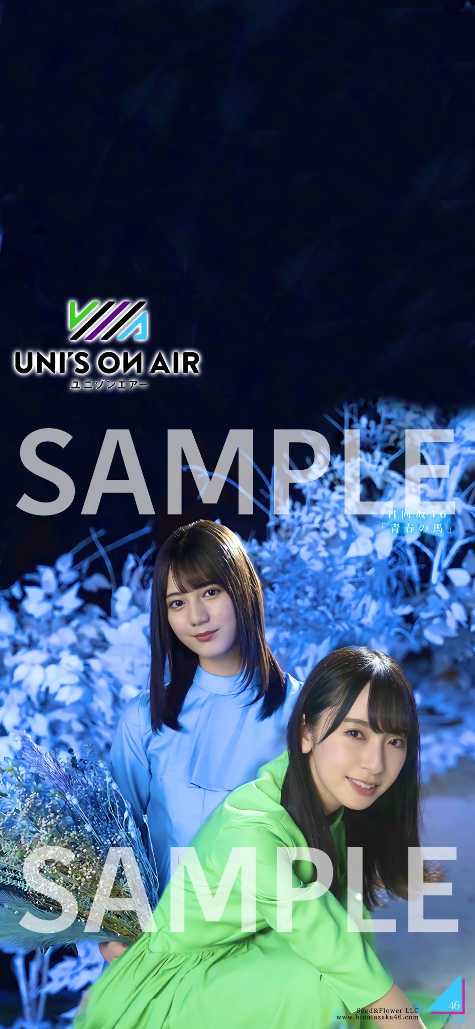 なお على تويتر ユニゾンエアー 日向坂46 青春の馬 なおみくの壁紙を作成しました Rtやいいね数が多ければ配布致します 画質は4kで配布致します 日向坂46 小坂菜緒 金村美玖 ユニエア 壁紙配布 なお على تويتر ユニゾンエアー 日向坂46 青春の馬 なおみくの壁紙を作成しました Rtやいいね数が多ければ配布致します 画質は4kで配布致します 日向坂46 小坂菜緒 金村美玖 ユニエア 壁紙配布