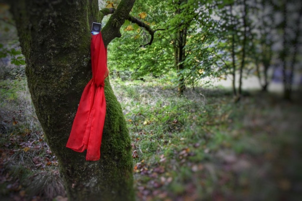 gmacg_1's tweet photo. @sanctuarylab

a wonderful range of playful, poetic &amp; powerful art works

@KatieJoAnd @Archieislander
@wildernessflash https://t.co/dSHO6RV5Kd