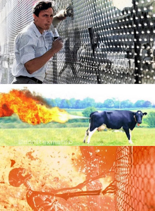 Smetnjak's tweet photo. Holy cow!
(but is it a death threat? 🤔)

#borutpahor #cowfart #terminator2 https://t.co/McplMSO6lJ