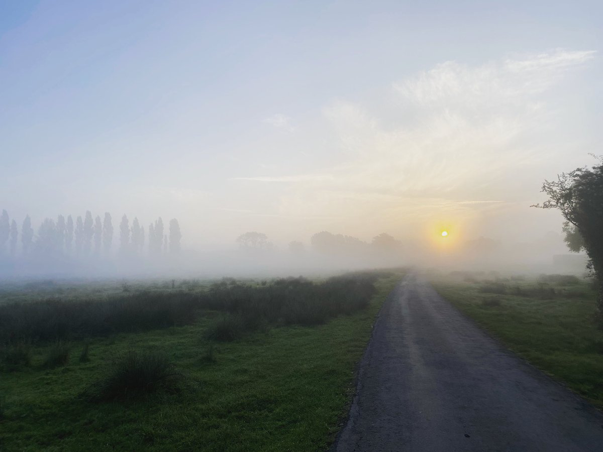 vickythompson28's tweet image. Got to love an early Sunday run when it looks like this 🏃🏼‍♀️Who else has some #merceractive weekend pics? 📸 #ukrunchat
