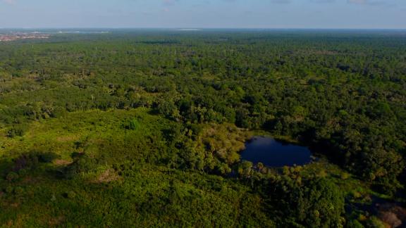 Egutz_'s tweet photo. Drone footage shows immense scale of search area in Brian Laundrie hunt - KIMT 3 https://t.co/tg71llH0Kh https://t.co/IPUcBeSY6A