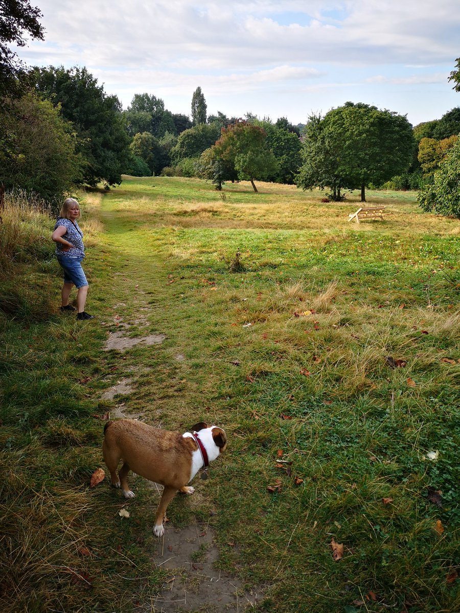 0ssettTerrier's tweet photo. Really fortunate to have all of this literally across the road from our house 🌳🌱🌿
#SpringMill #Ossett #Wildlife #woodland https://t.co/DifZOB9uYX