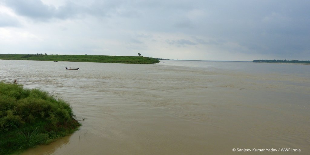 WWFINDIA's tweet photo. With 80% of the basin in India, Ganga is one of the iconic rivers in the world supporting over 600 million people, iconic species such as Ganga River Dolphin, gharials, freshwater turtles, otters etc.
#WorldRiversDay #rivers #RiversDay #ganga https://t.co/apmY9EyDlt
