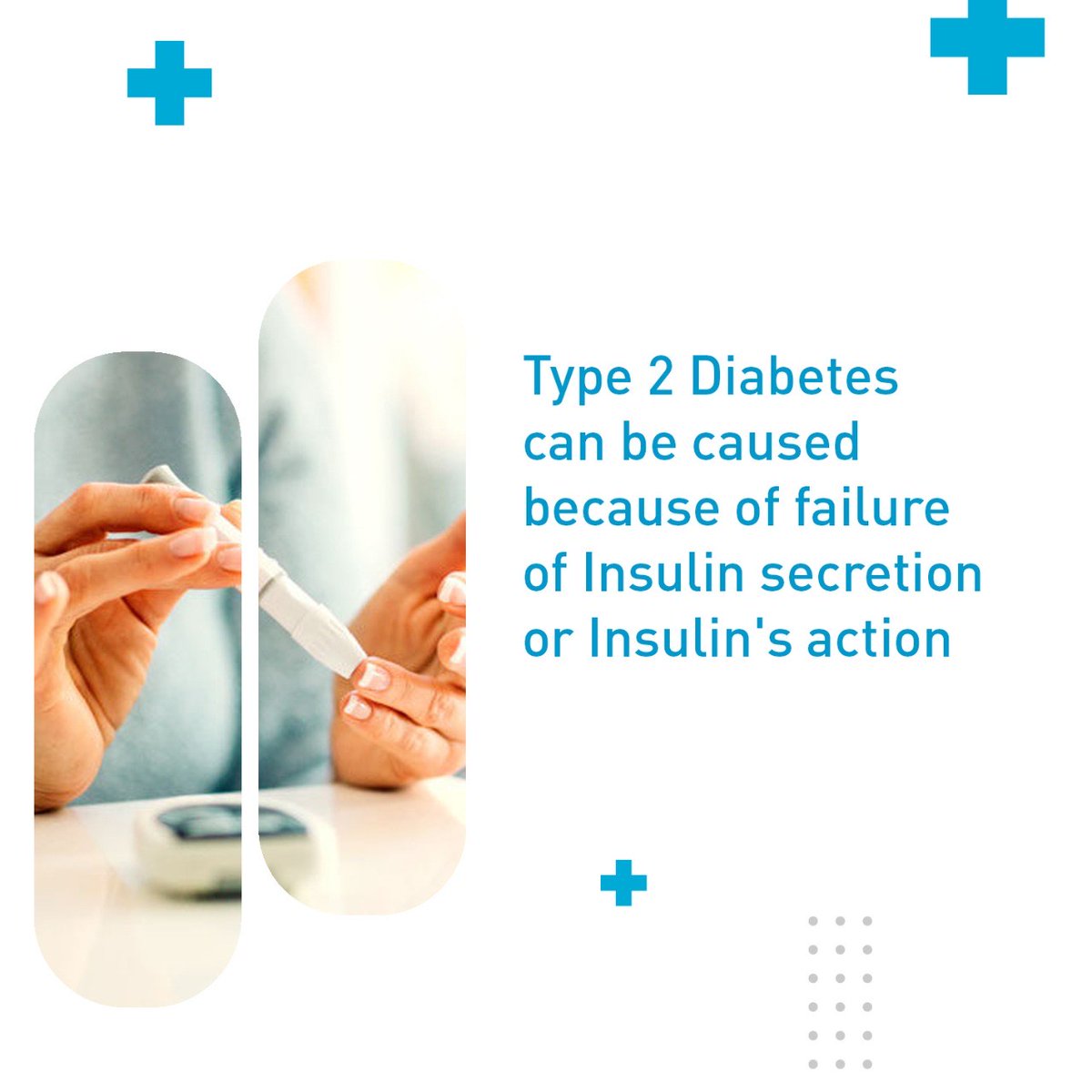 NeotechworldLab's tweet photo. Individuals may be predisposed to diabetes based on factors like nutrition profile, body weight and metabolism, detoxification, and the ideal fitness regimen.
#diabetes #nmcgenetics #gene #genome https://t.co/NF8P8N6wDB