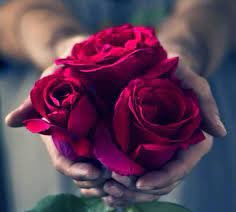 REDZONE10001's tweet photo. @MARY_AD685 🍃 I'm so glad you liked my tweet and for your kind radiance…thank you very much 🌷🌷❤️🙏 https://t.co/ZlPgeY2gkR
