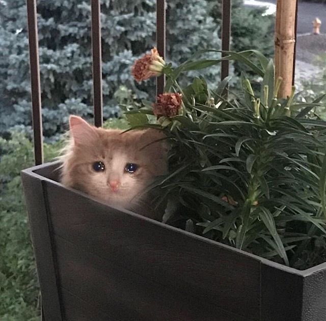 i rlly want to work on a big project w my art someday :(( like a story book l, game art, comics or even just a line of prints :(( i just know it'd be sm fun