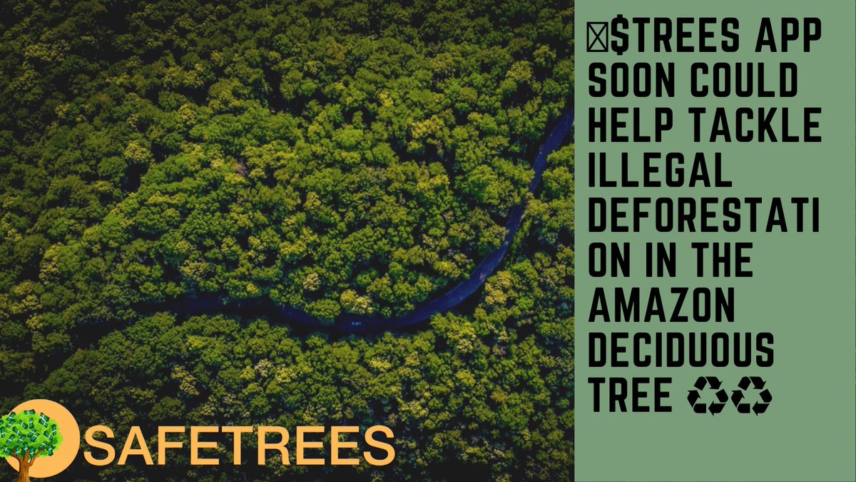 SAFETREES tweet media