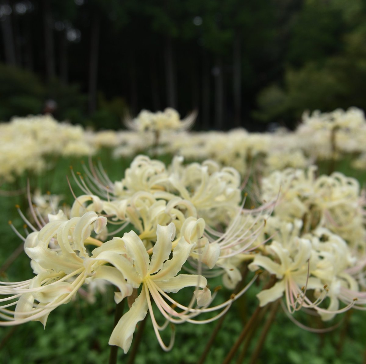 もっち mocchi tweet media