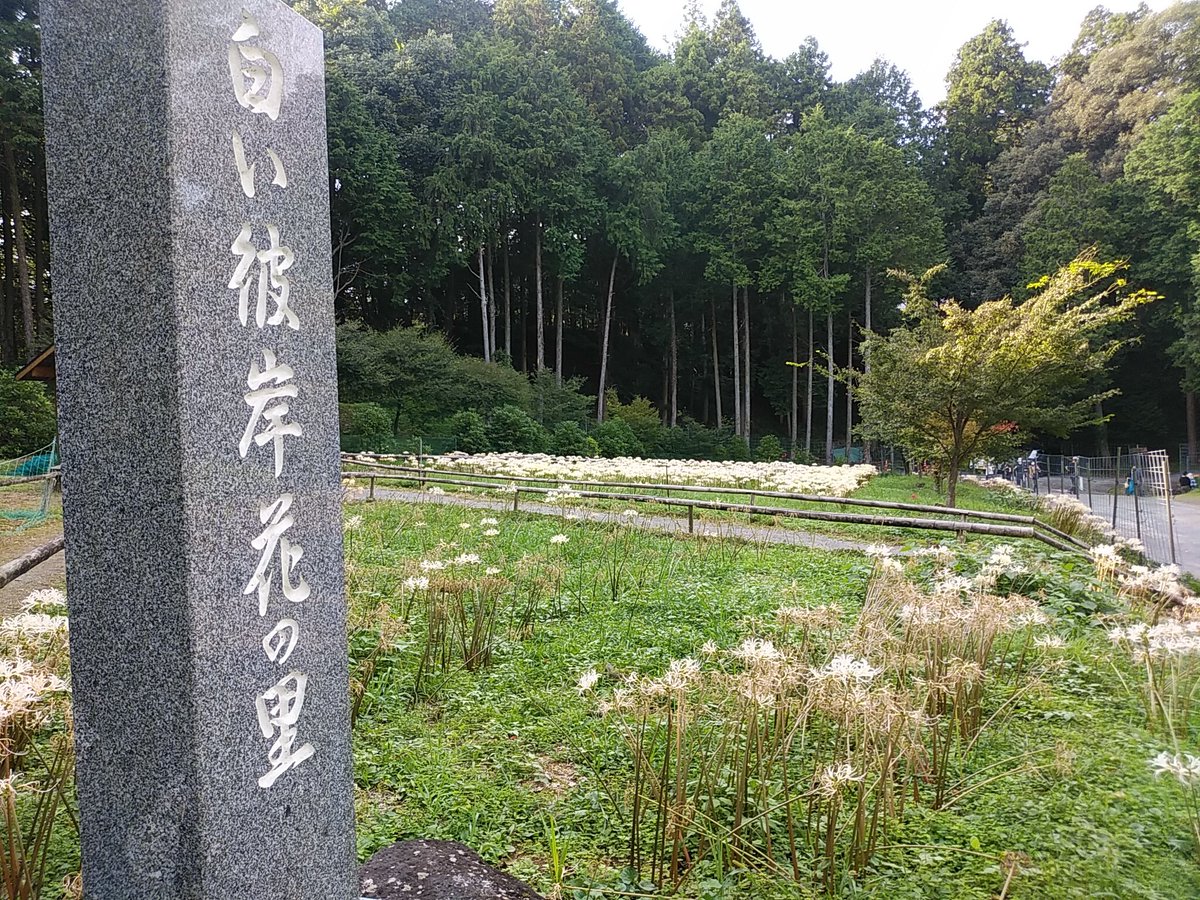 もっち mocchi tweet media