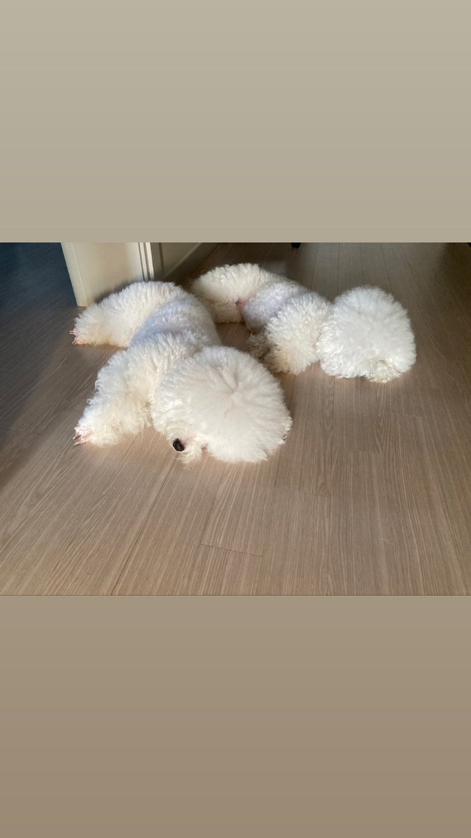 JisolMexico's tweet photo. 210923 [INSTAGRAM PERSONAL]

Actualización en las historias de Hansol (jisol_11)

https://t.co/tmE0Jare4E

#Newkidd #뉴키드 #Jihansol #지한솔 #UNB #유앤비 https://t.co/pJSJ1bvKb6