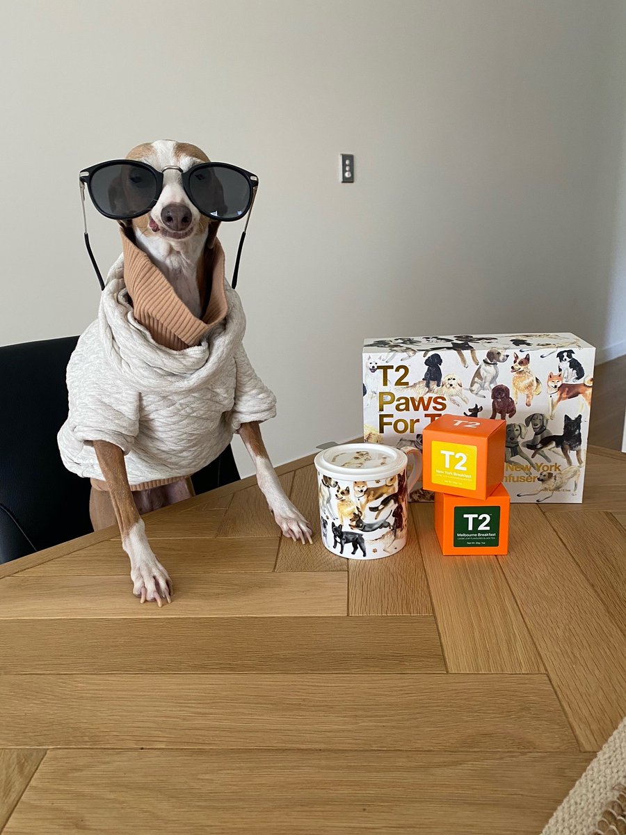 T2TeaOfficial's tweet photo. Say "hola" to every tea lover's best friend, Paws for Tea! @fiorellatheiggy knows how to serve up looks with her new pup pack. πΆ Shop now: https://t.co/q57skROv5k
#t2tea #t2gether #tea #tealover #teatime #cuppa #dogsofinstagram #cute #whippet https://t.co/eFNCQwuZVN