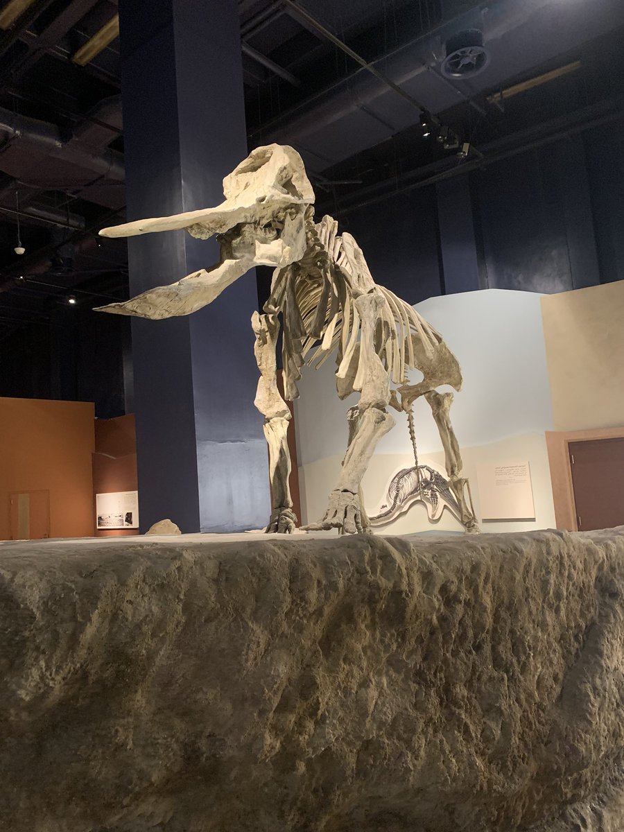 mzu3bi's tweet image. بمناسبة العيد الوطني للمملكة العربية السعودية اخذنا العائلة و زرنا المتحف الوطني في المربّع. كم هائل من العلم والمعرفة.  تعلمنا الكثير واستمتعنا. 
انصح الجميع من اهل الرياض زيارة المتحف
#TheLearningNeverStops