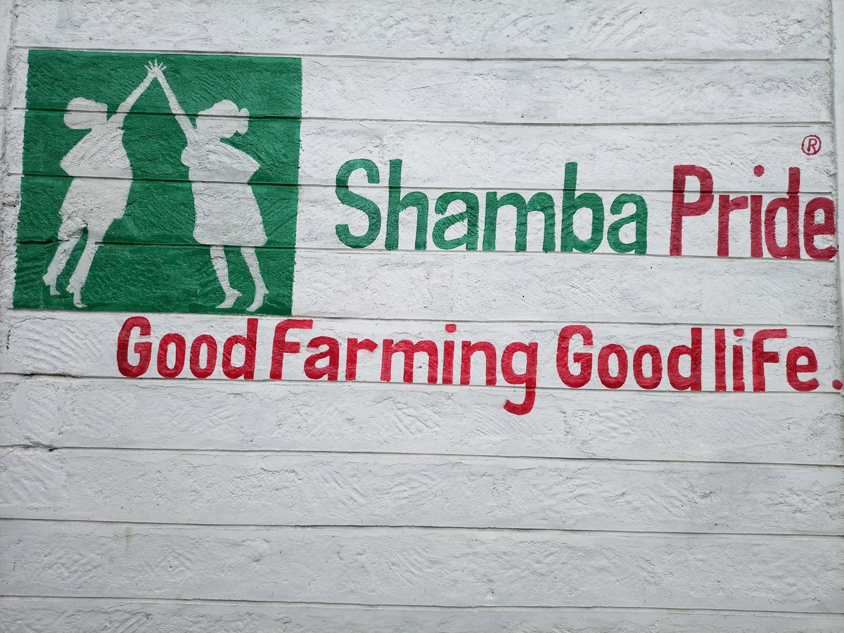 shambapride's tweet photo. #goodfarming #GoodLife . Shamba pride is revolutionizing rural distribution of key agriculture inputs and services for African farmers. #agritechnology #African #SmallHolderFarmers https://t.co/57irLGWW1f