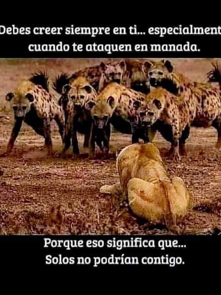 #psicopatas #psicópatasintegrados #narcisistas #familiadisfuncional #descarte #gaslighting #relacionestoxicas #abusonarcisista #abusoemocional #abusopsicologico #victimaspsicopatas