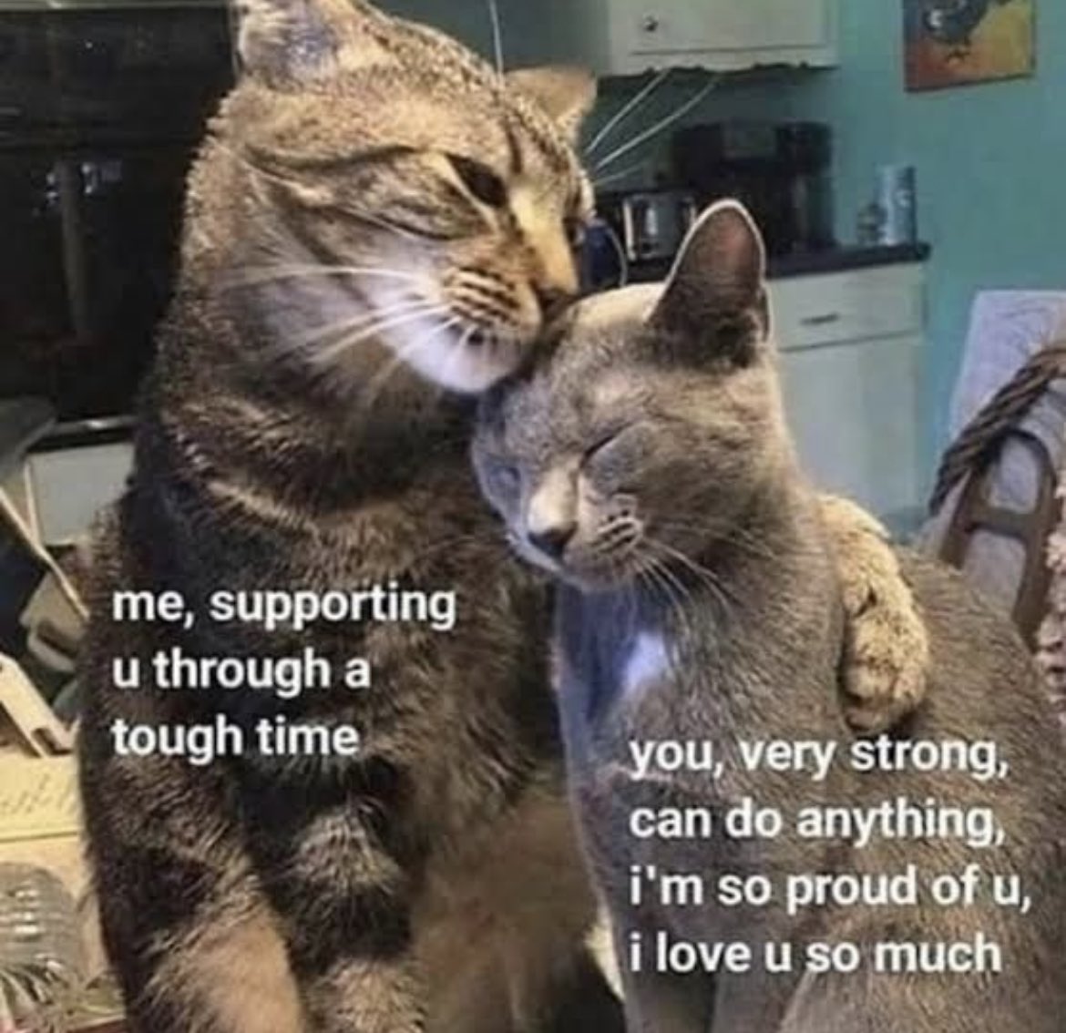 RespectfulMemes's tweet photo. https://t.co/Pp6pjT7jgx