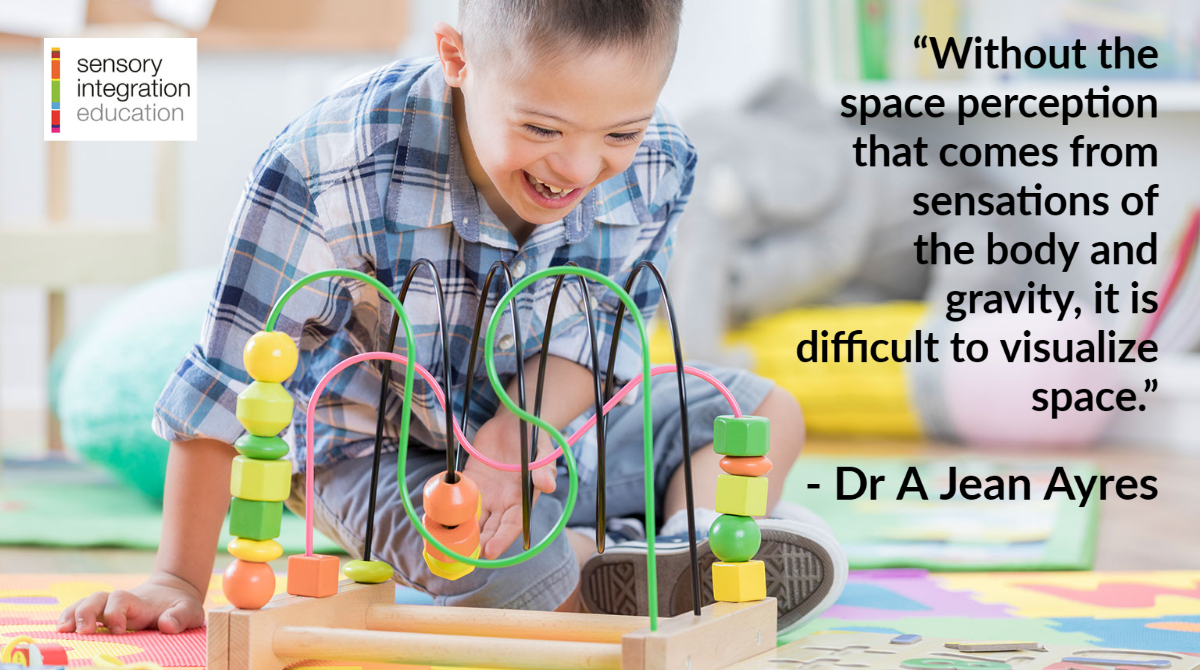 SINetwork's tweet image. “Without the space perception that comes from sensations of the body and gravity, it is difficult to visualize space.” - Dr A Jean Ayres
#Vestibular #GravitationalSecurity #SpatialAwareness #SensoryIntegration #SensoryProcessing #AyresSensoryIntegration