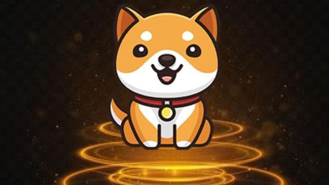 GandyMery's tweet photo. @babydoge 🚀🚀🚀🥳🥳🥳#Babydogecoin https://t.co/ecITZYsk7a