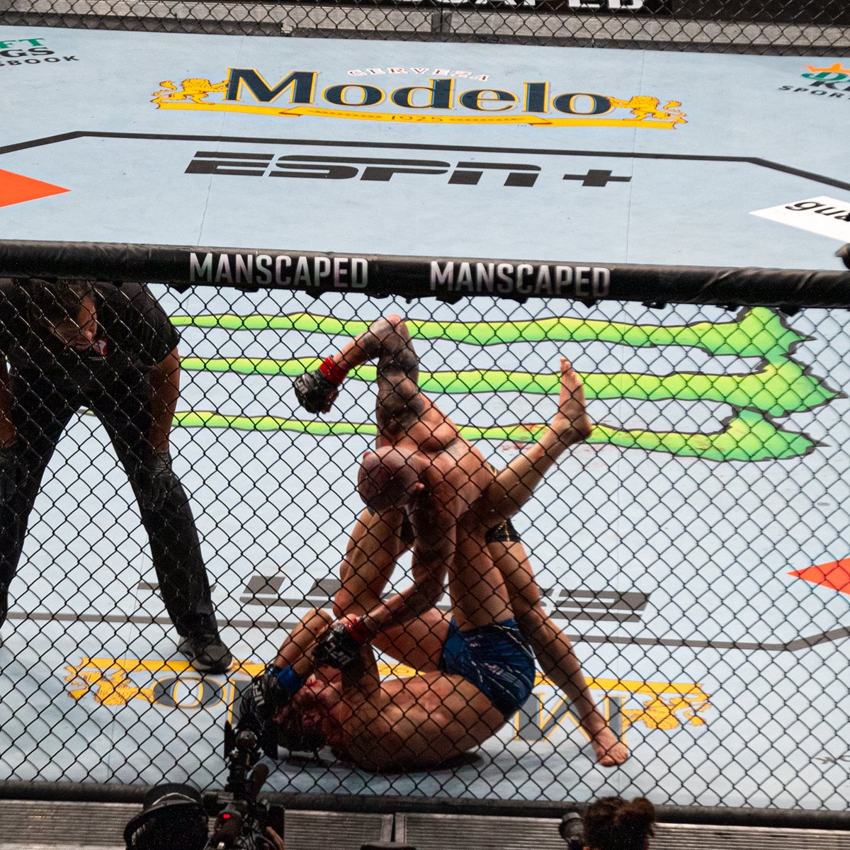 UFC tweet media
