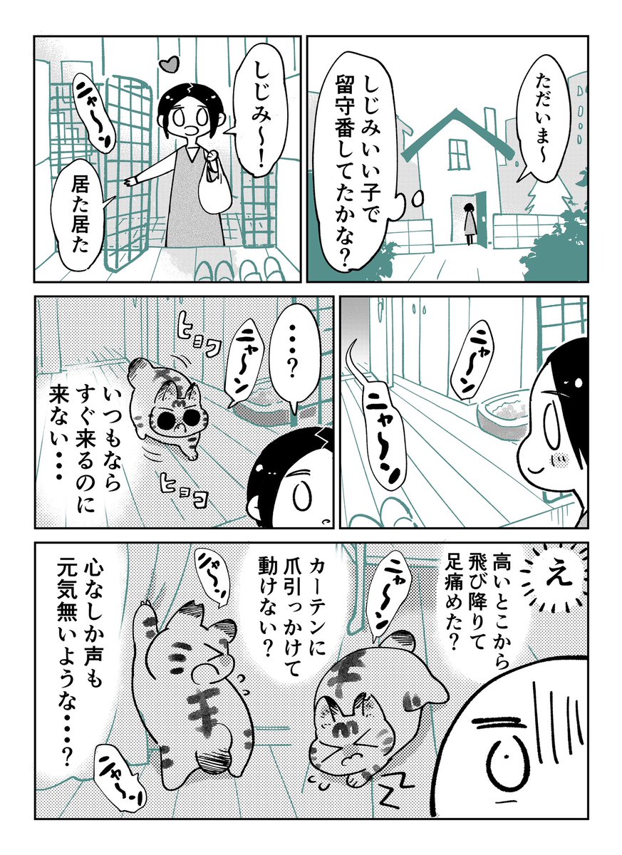 3本足のしじみちゃん148 