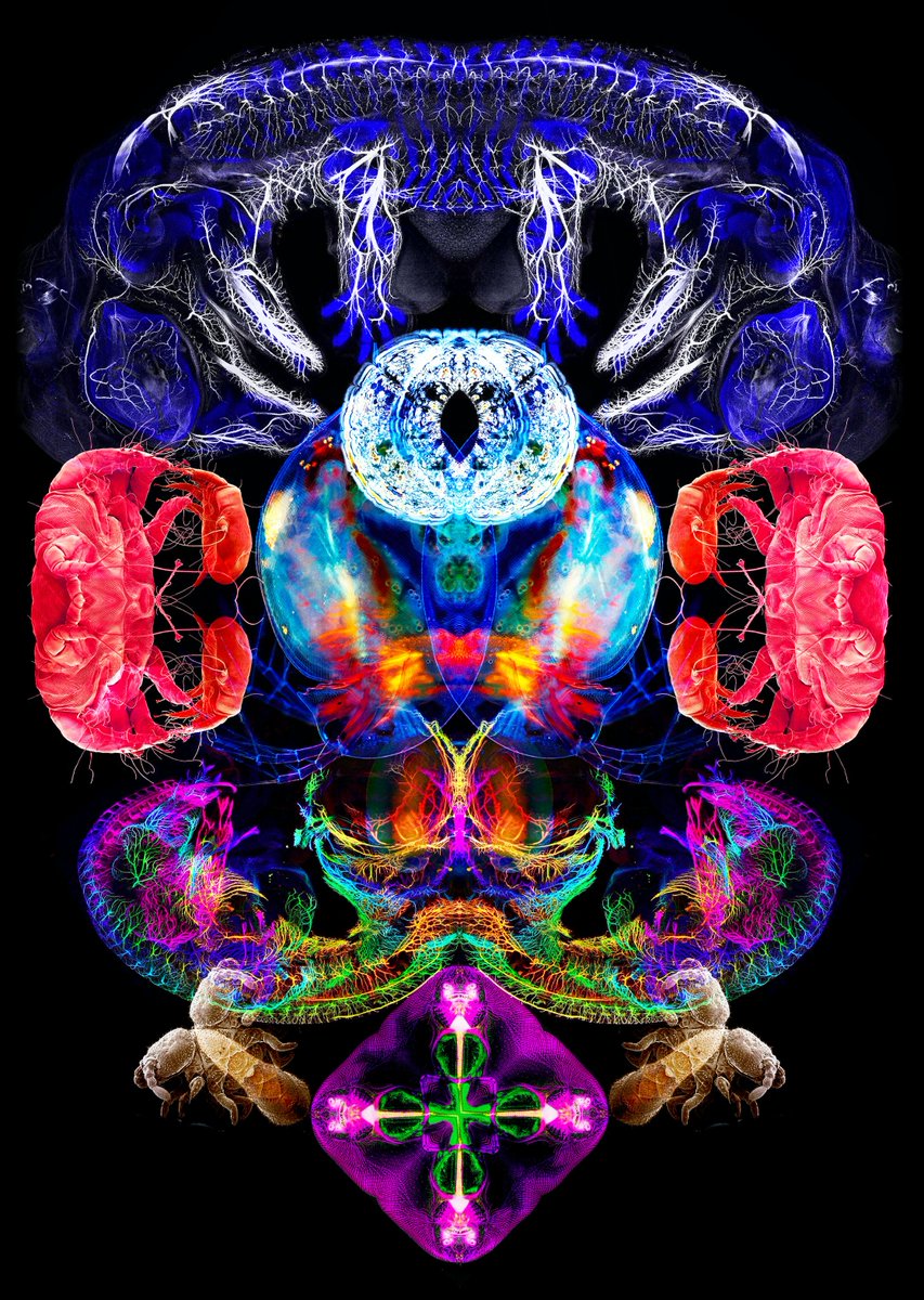 kleverworks's tweet photo. What can you see inside this?
Check it out on @hicetnunc2000
Binkfink 01
OBJKT#335823
20/20 ed for 1 #tezos ! 

https://t.co/xndUX9ACKF

#tezosnfts #HEN #hicetnunc #hicetnunc2000 #shill  #CleanNFTs #hen200k https://t.co/O2IEVVkKvM