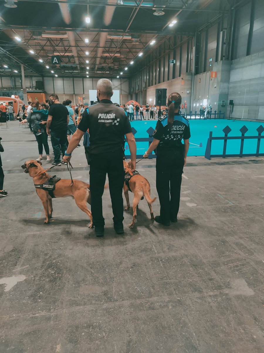 Alcobendas_Poli's tweet photo. Durante el fin de semana, nuestr@s Guías Caninos de la Policía Local de #Alcobendas han estado realizando una exhibición en la Feria del animal de compañía  @100X100mascota, celebrada en el @IFEMA de #Madrid, e invitados por la Organización.

#SomosParteDeTi #guiascaninos https://t.co/gVWcOXmAAg