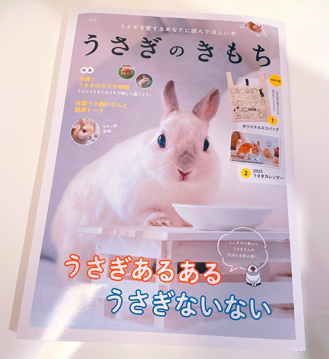 発売中の『うさぎのきもち』挿絵担当しました! 