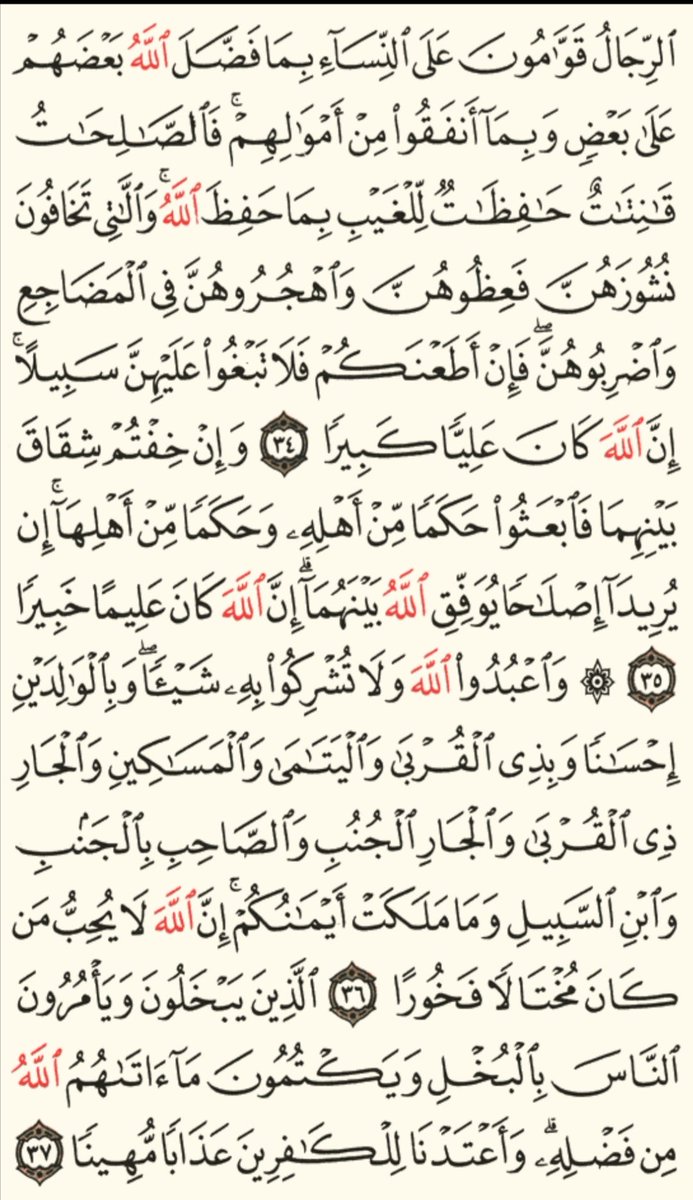 #الهند_تقتل_المسلمين
#صباح_الخير 
#الحب_lلحقيقي 

وردك اليومي 
لا تهجروا #القران  فأنه ياتي يوم القيامه شفيعاً لاصحابه 🤍🌧️
