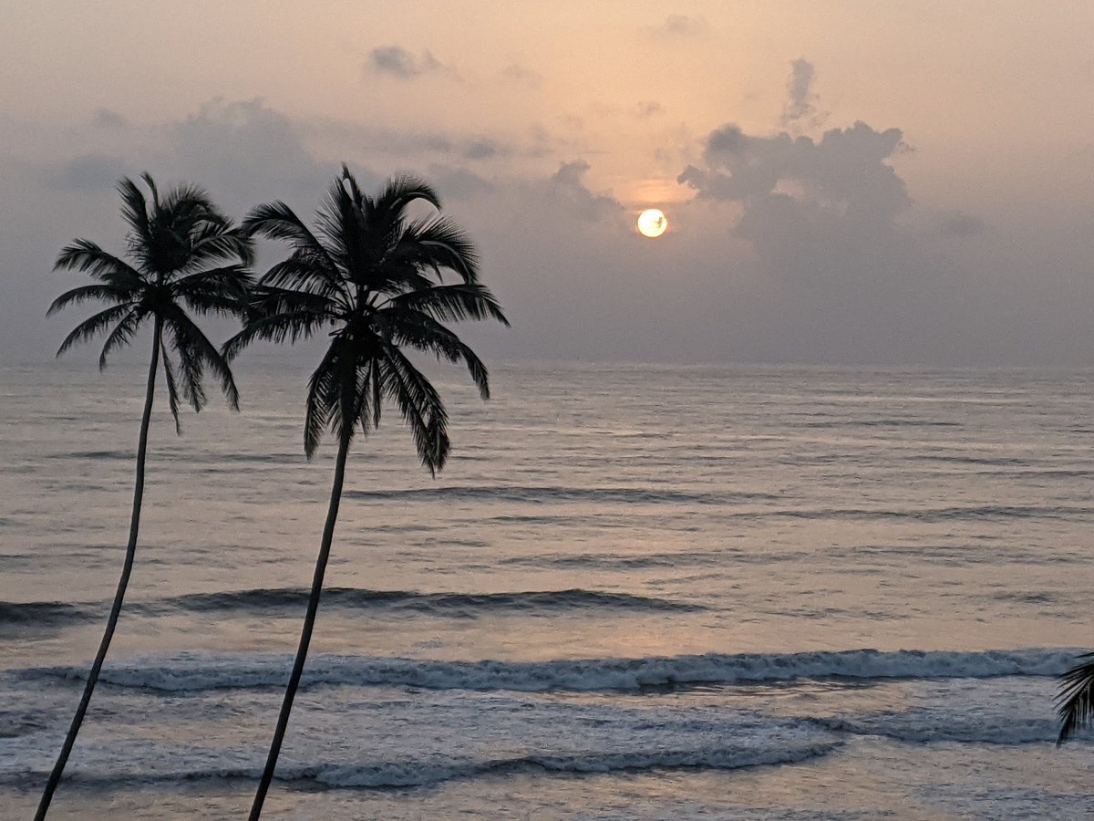 NafisaJoseph's tweet photo. Mesmerizing #Sunsets #OzranBeach #Goa #ViewfromRoom #HolidayDiaries #Wanderlust https://t.co/c23jUnpzKt