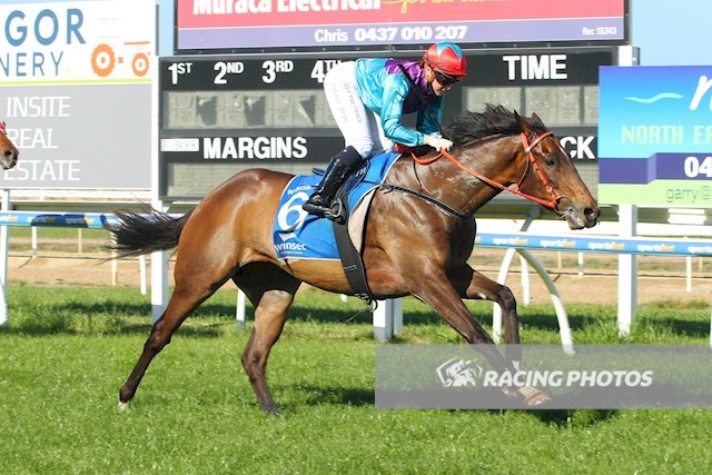 chan_racing's tweet photo. #Wascaly #7th #winner #Aus #Hk #Trainer #Wangratta #Dominate #Win #Thanks for #Support #Owner #patience #🍻🍻🍻 #🥇 #香港 #練馬師 #主導
https://t.co/YgB7S6JlrZ https://t.co/pX7wUWuvLR