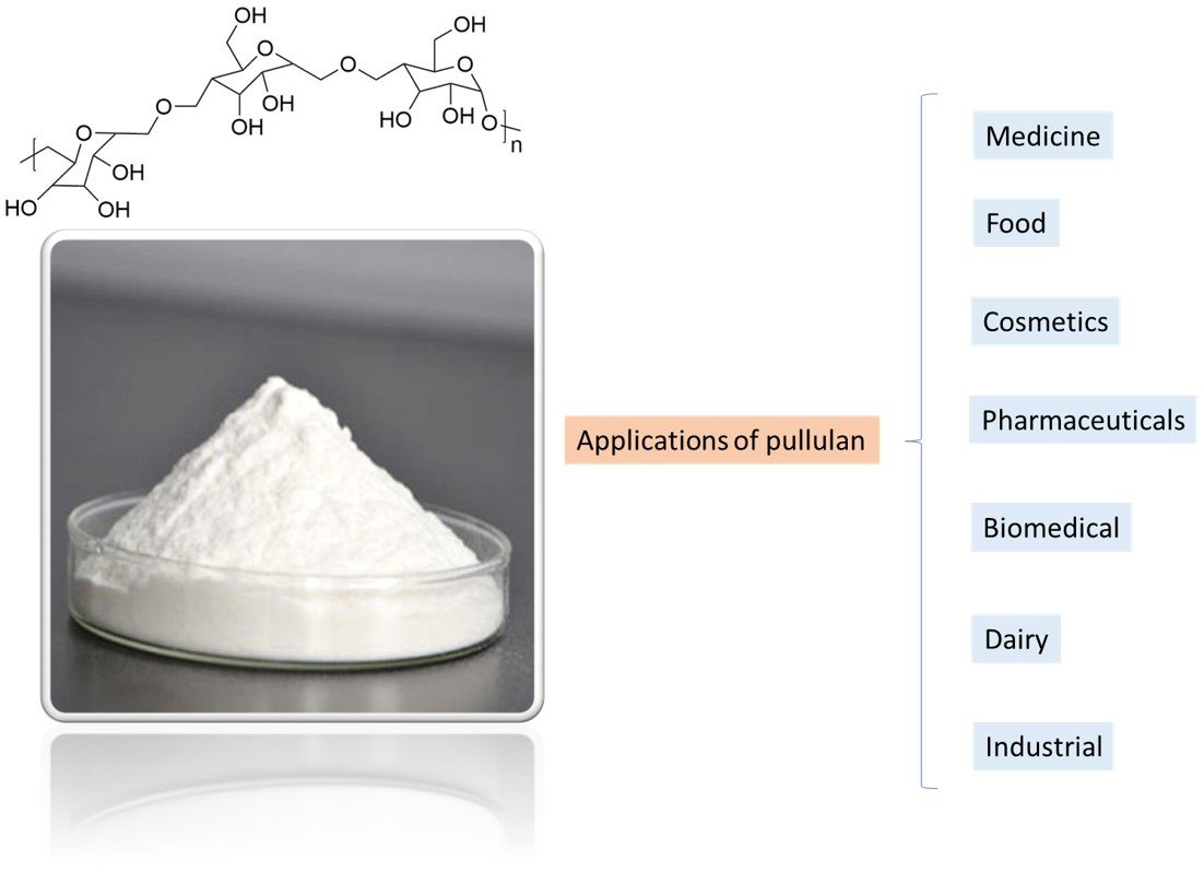 JFB_MDPI's tweet image. #mdpijfb 📢Reading recommendation: A review &quot;Pullulan for Advanced #Sustainable Body- and #Skin-Contact Applications&quot; by Maria-Beatrice Coltelli @ColtelliMaria, Serena Danti @DantiSerena, Karen De Clerck, Andrea Lazzeri and Pierfrancesco Morganti.
👉mdpi.com/2079-4983/11/1…
#bioba