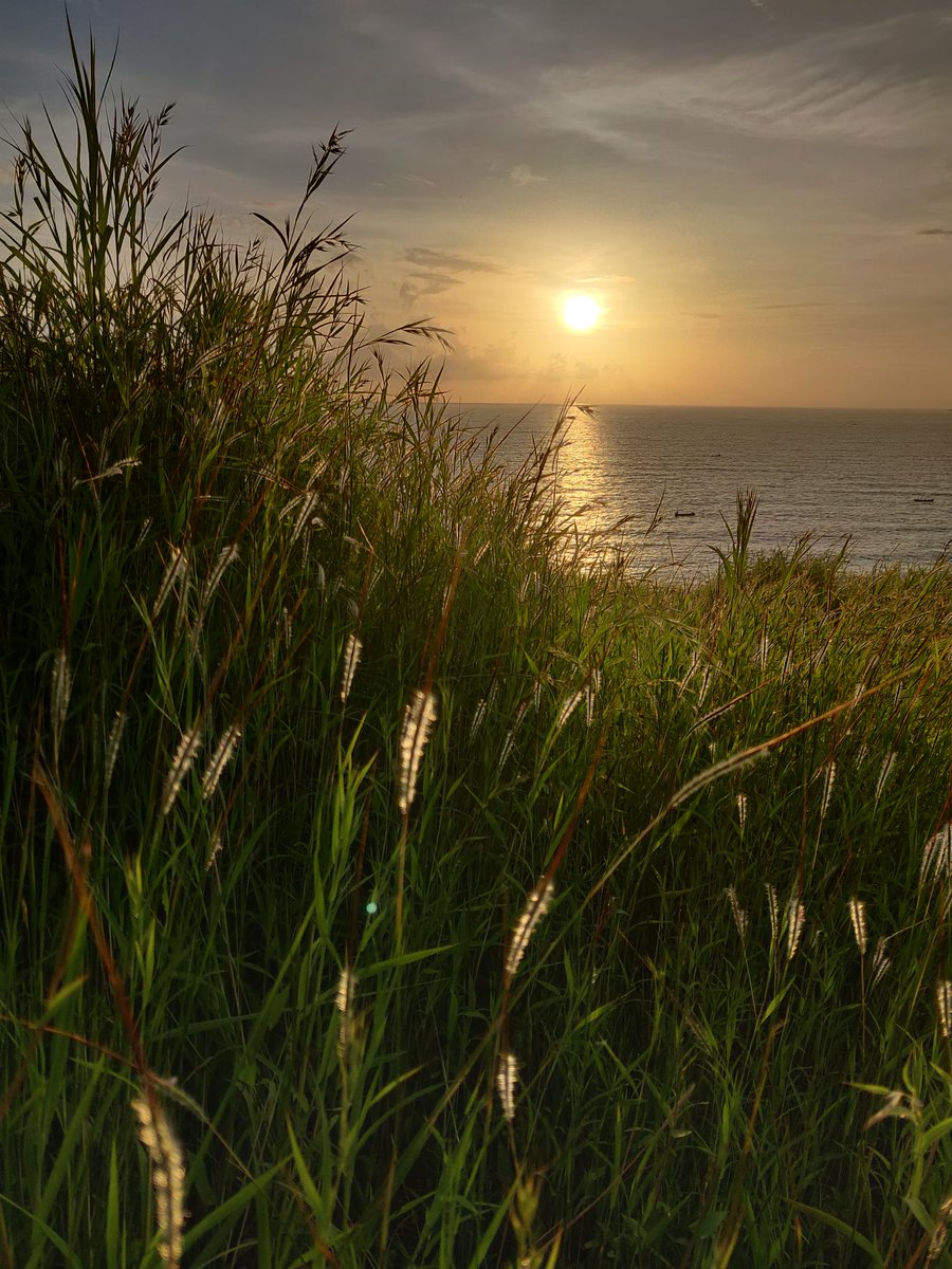 matt_murdocck's tweet image. Happy Sunday Guys ✨
Clicked this yesterday evening 
#oneplus6T