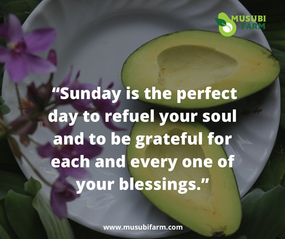 musubifarmug's tweet photo. Itโs a good day to refuel your soul and be grateful for your blessings.
Take a deep breath, relax and enjoy the company of families and friends.
#SundayMotivation #MusubiFarm https://t.co/jcNISYybKh