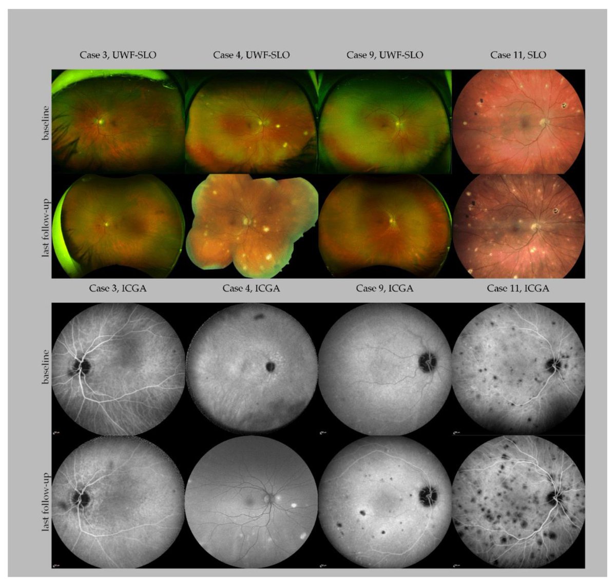JCM MDPI tweet media