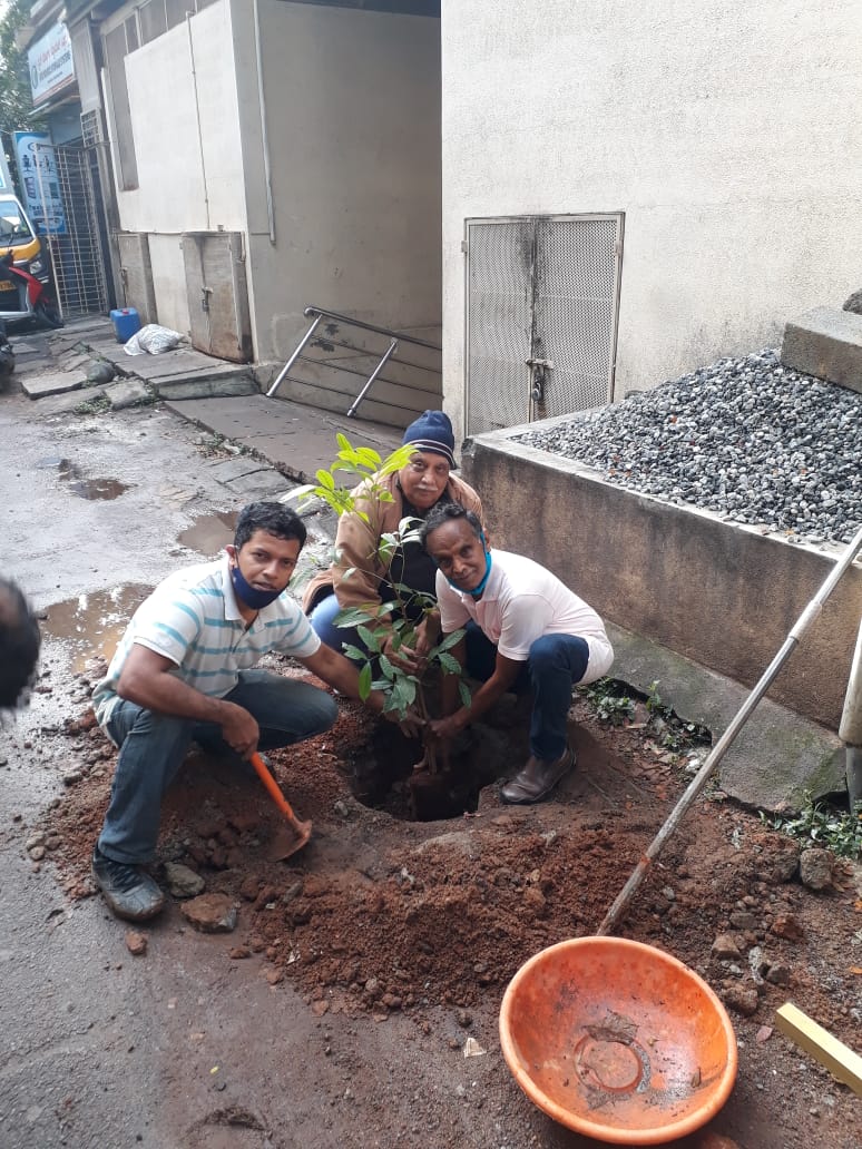 RathaHasiru's tweet photo. #Bengaluru #AdoptASapling #savetrees #environment #cleanbangalore #rejoice https://t.co/mDRbvlkRVb