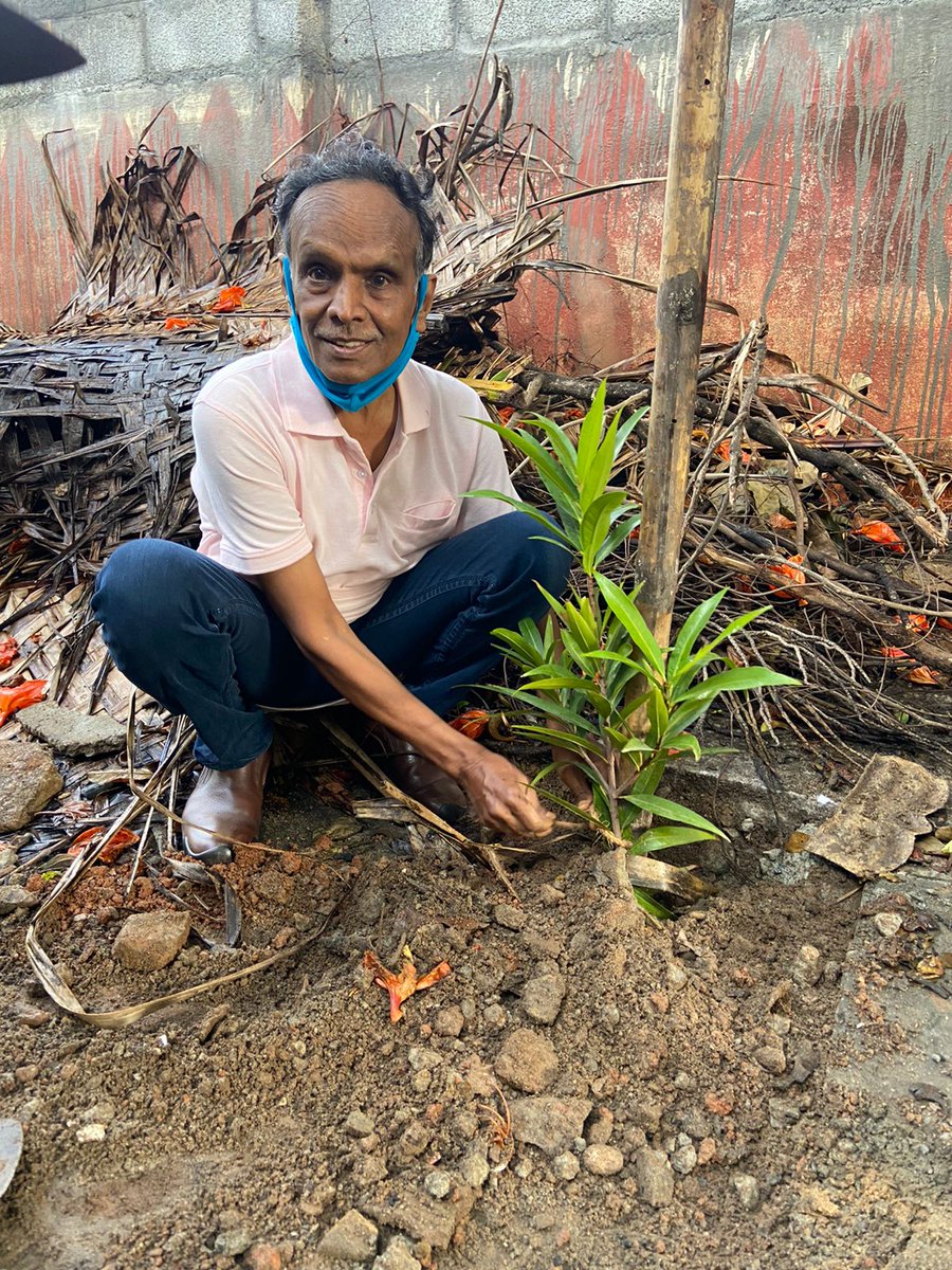 RathaHasiru's tweet photo. #Bengaluru #AdoptASapling #savetrees #environment #cleanbangalore #rejoice https://t.co/mDRbvlkRVb