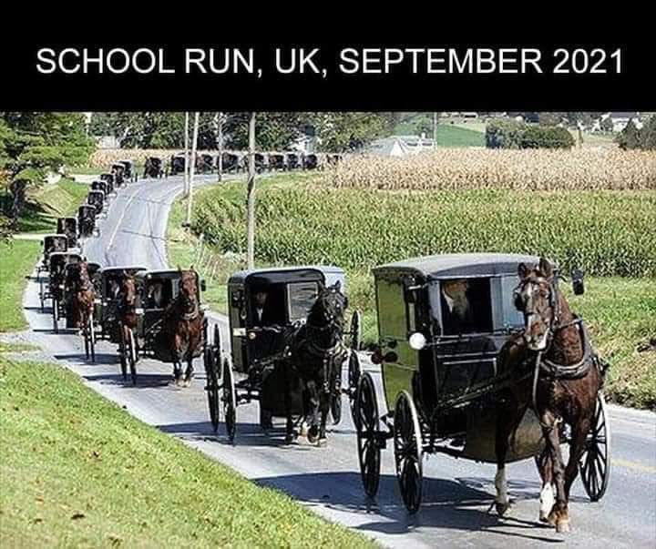 Come #MondayMorning 😂🤪
#fuelshortage #panicbuying