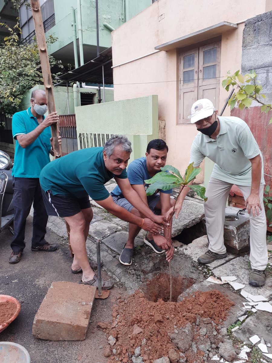 RathaHasiru's tweet photo. #Bengaluru #AdoptASapling #savetrees #environment #cleanbangalore #rejoice https://t.co/mDRbvlkRVb